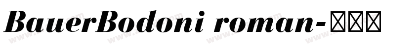 BauerBodoni roman字体转换